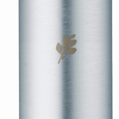 Mousse Volumisante